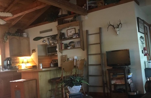 Hawkins Cabin | Vintage Cottage on Lake! Fish Camp Cabin FREE kayak, canoe & bike use!