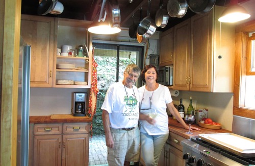 Rock Stream Cottage | VINTAGE COTTAGE OVERLOOKING SENECA LAKE PRIVATE BEACH/DOCK/KAYAKS/CAMPFIRE