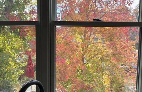 Longmont House | Vintage Haus - Cheerful, Elegant, Old World Modern