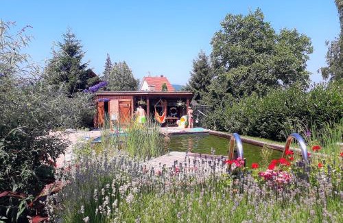 Miskolc-Tapolca House | Vintage Home Vendégház