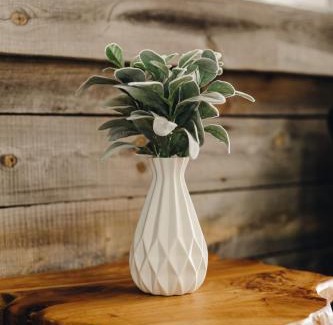 Big Bear Lake Hotel | Vintage Lakeside Inn