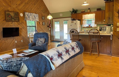 Hiawassee Cabin | Violet Cabin - Beautiful Mountain View, Rustic Charm w/Jacuzzi & Wood Fireplace