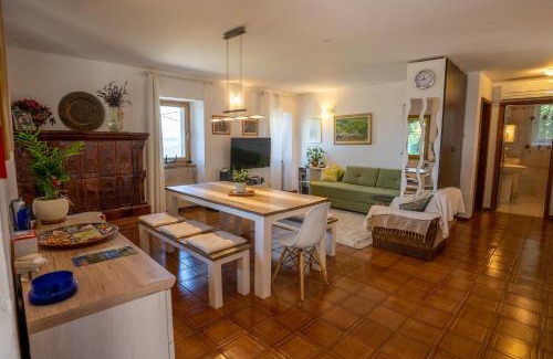 Socerb Apartment | Violet's Place