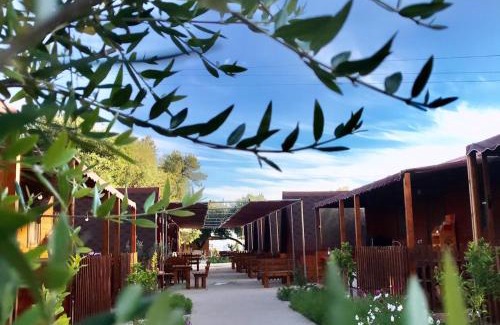 Qazim Pali Resort | Violet Village