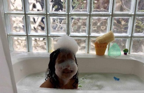 Teresopolis House | VIP house within the CBF Comary Condominium