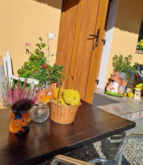 Cartisoara House | Vis Împlinit