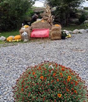 Cartisoara House | Vis Împlinit