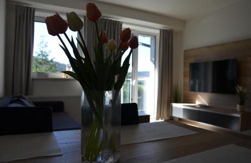 Loucna Pod Klinovcem Apartment | Visit sauna Klinovec