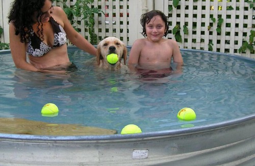 Wallingford House | Visit- Stayinvermont.org - Fiber-optic one gigabit per second. Dog Friendly