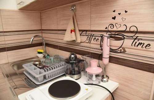 Plav Apartment | Visitor view apartment