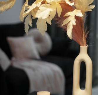 gmina Debe Wielkie Apartment | Vista apartment2