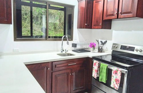 Tronadora Apartment | Vista Del Lago Villa Two, Tronadora, Lake Arenal