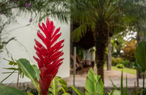 Tierras Morenas Apartment | Vista Lago Arenal