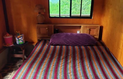 San Ignacio Ski Chalet | Vista pinares