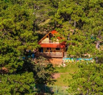 San Ignacio Ski Chalet | Vista pinares
