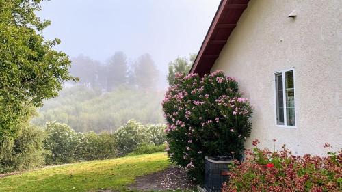 San Miguel House | Vista Vine Cottage