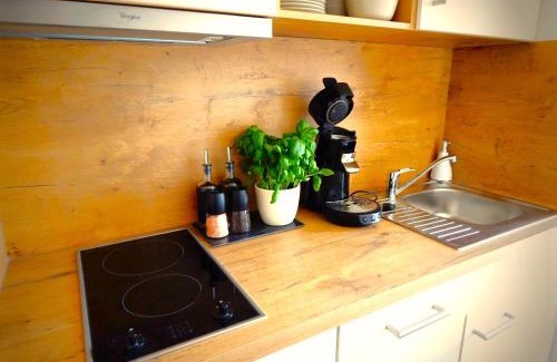 Kalzhofen Apartment | Vital Lodge Allgäu mit Oberstaufen PLUS