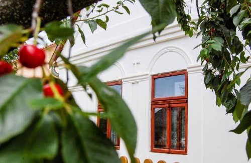 Boldogkovaralja House | Vitamin B63 Vendégház