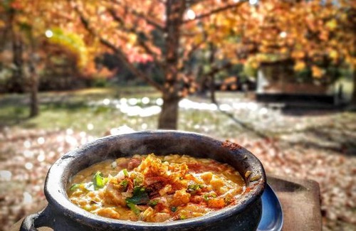 Partido de Tigre House | Viva el Delta