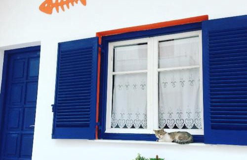 Paros Hotel | Viva Margarita