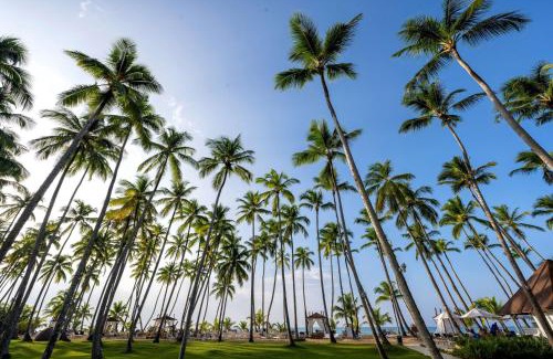 Las Terrenas Resort | Viva V Samana by Wyndham, A Trademark Adults All Inclusive