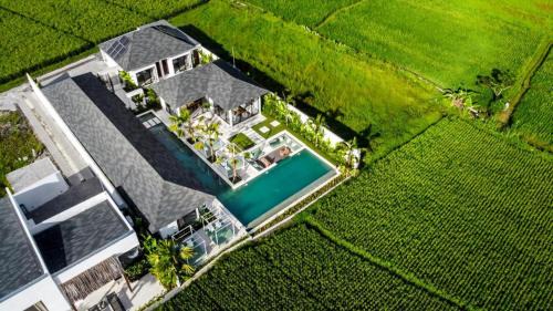 Melayang Villa | Vivalavida 6 BR Luxurious Villa RiceField View CYN