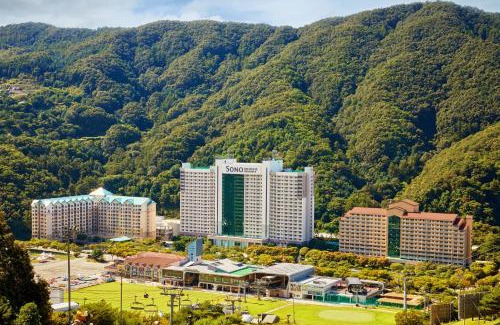 Seo Hotel | VivaldiPark
