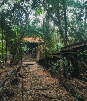 Alter do Chao Other | Viverde selva Redario natural