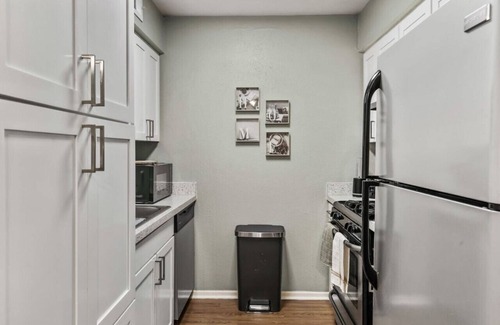Fort Worth Apartment | Vivid 1BD: TCU Walkable, Inspiring & Restful!