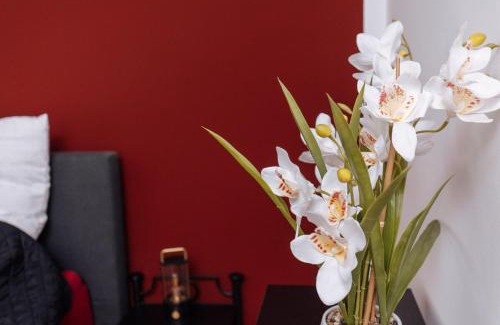 Sudostviertel Apartment | vivid & red - Netflix - City - Wifi - 4 Person