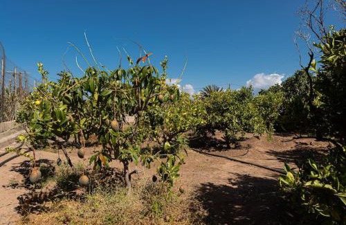 La Aldea de San Nicolas House | Vivienda vacacional CA' PEPITA Y JOSE