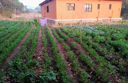 Satara House | Viyoddha Homestay near Satara