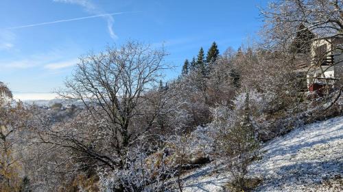 Breznik Plesivicki House | Vlaškovec Experience