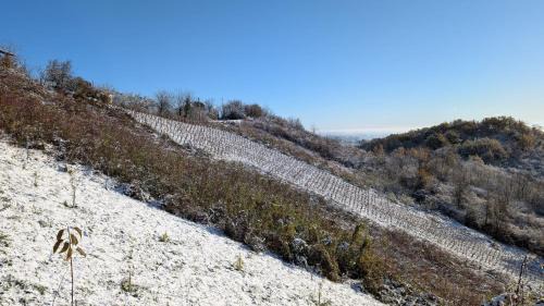 Breznik Plesivicki House | Vlaškovec Experience