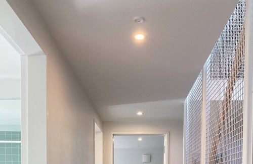 Wellington House | Vogeltown Architectural Retreat