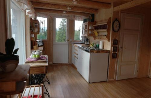 Snasa Apartment | Vognbu Gran Nordre