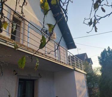 Meljak Apartment | Vojin Meljak