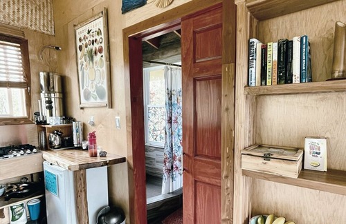Fern Forest Cabin | Volcano Eco Lodge