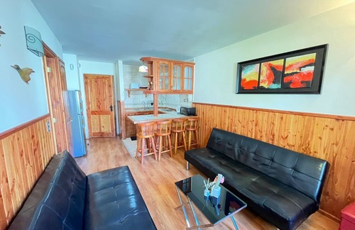 Pucon Apartment | Volcano shelter. 1 km from downtown!