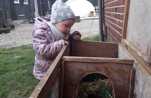 Nieblum Apartment | Volkerts Hof - FW 1, Deutschland