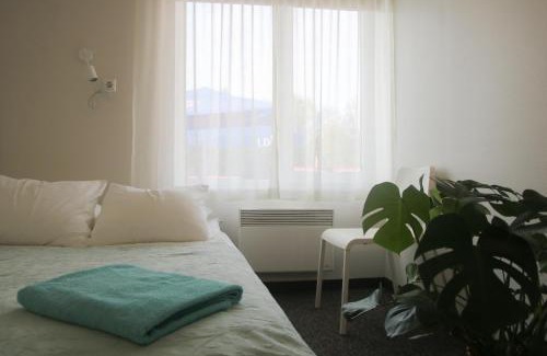 Mustvee Hotel | Voore Guesthouse