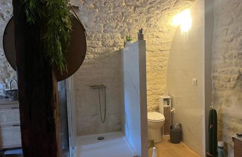 Castelnau-Montratier-Sainte-Alauzie Apartment | Voute des anges type loft sans cloison