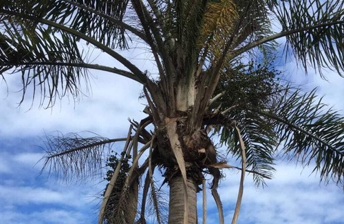 Centro House | Vrbo Property