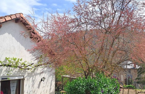 Torsiac House | Vrbo Property