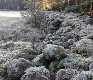 Mariestad Other | Vristulvens äventyrscenter