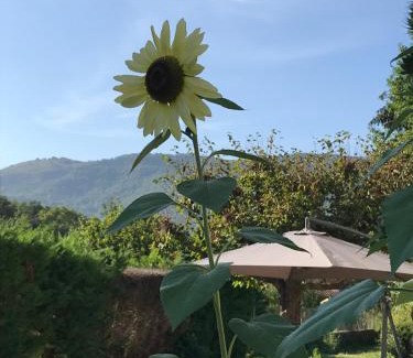 Salechan Apartment | Vue du Gar