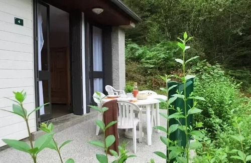 Champs-sur-Tarentaine-Marchal Apartment | VVF Cantal Champs-sur-Tarentaine * - 3-Room Cottage 6 People 1 baby