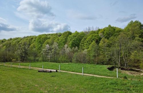 Lviv Oblast House | Vysoka brama дерев'яний будиночок з чаном