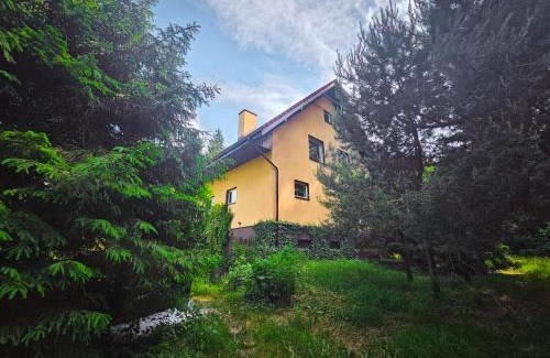 Sasino Cabin | W Ogrodzie Dla Gości
