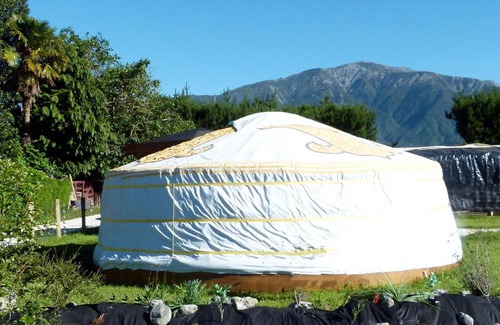 Kaikoura House | Wacky Stays - unique farm-stay glamping rentals, FREE animal feeding tours